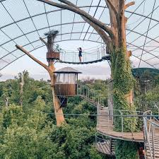 Looking for the best glamping near austin? Gchzvzdt Numwm