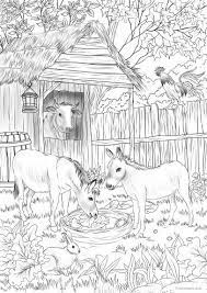 Funky chicken coloring page chicken coloring pages horse. Pin On Coloring Pages