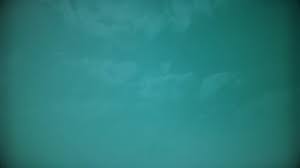 Congratulations graduation hats and brown balloons blue background vector illustration. Graduation Adventure Clouds Motion Video Background