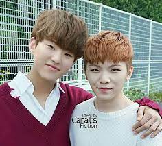 International fanbase dedicated for seventeen hoshi & woozi. Woozi And Hoshi Carat ìºëŸ¿ Amino