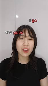 Is Vietnamese grammar simple?