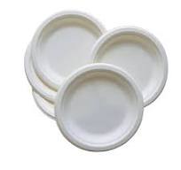 Paper Plates Disposable Plates From Sugarcane Waste Inch Disposable Paper  Plates 100% Biodegradable