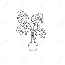 161,000+ vectors, stock photos & psd files. One Single Line Drawing Cute Potted Tropical Leaves Monstera Plant Printable Decorative Houseplant Concept For Home Wall Decor Ornament Modern Continuous Line Draw Graphic Design Vector Illustration Royalty Free Cliparts Vectors And