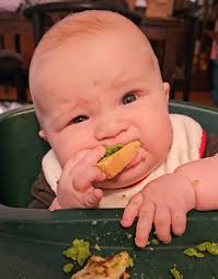 Can I give my rat whole chicken wings?