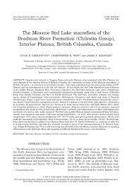 PDF) The Miocene Red Lake macroflora of the Deadman River Formation  (Chilcotin Group), Interior Plateau, British Columbia, Canada