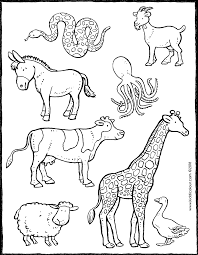 1279 x 913 png pixel. Vindt De Dieren Op De Boerderij Kiddicolour