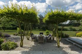 Sitzen Unter Baumen Garten Garten Landschaftsbau Garten Bepflanzen