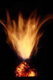 We did not find results for: Flaming Pine Cone Eruption Pine Cones Photography Flames
