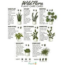 Indoor Plants Care Guide Plant Care Plants Indoor Plant Care Guide