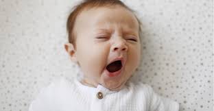 Dr. Kevin Roberts, President...