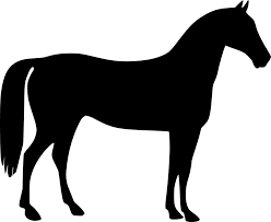 Image result for HORSE