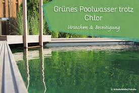 Ist das wasser klar und grün, haben sie es mit eisen zu tun. Poolwasser Ist Grun Trotz Chlor Was Tun Pool Probleme