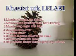 Tanah liat tersebut di bentuk dengan cetakan lalu dibakar hingga warna nya menjadi kemerahan. Nenas Batu Home Facebook