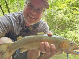 Identifying fish is difficult... I went to test my net earlier today.  Stopped by the bridge to do some sampling and hopefully get some extra  metallic shiners. Caught a bunch of darters.