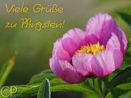 Pfingstgrüße pfingsten pfingsten bilder frohe pfingsten bilder feiertag grüße zu pfingsten bilder zu pfingsten pfingstwochenende. Coolphotos De Grusskarten Feiertage Pfingsten