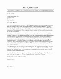 Junior auditor cover letter sample. Chief Financial Officer Resume Example New Cfo Cover Letter Sample Cover Letter Example Templates Credit Repair Letters Letter Example