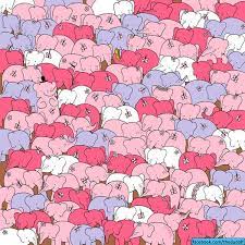 Level 31 find 8 animals Valentine S Day Brainteaser Find The Heart Among The Elephants