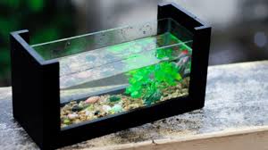 Buruan cek koleksi peralatan aquarium di jakmall.com! Mengintip Alat Pembersih Akuarium Otomatis Rumahlia Com
