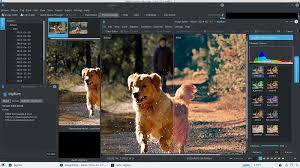 برنامج Digikam لتحرير وتعديل الصور وتنظيمها على جهاز الكمبيوتر Good Photo Editing Apps Photo Editing Photo Editing Apps