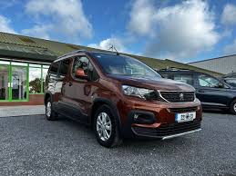 Image result for Brown Squirrel 2014 Peugeot