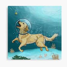 See more ideas about underwater dogs, dogs, underwater. Underwater Dog Canvas Prints Redbubble