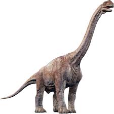 Camarasaurus Prehistoric Animals Dinosaur Images Jurassic Park World