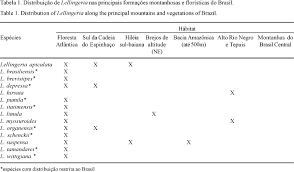 Image result for Lellingeria oosora