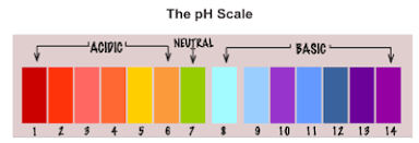 To Find The Ph Of The Samples By Using Ph Paper Universal