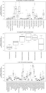 Image result for Cassipourea ruwensorensis