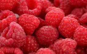 صورة ذات صلة