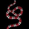 Download gucci wallpaper supreme high quality hd wallpaper in 2k. Https Encrypted Tbn0 Gstatic Com Images Q Tbn And9gcsuagngipnhvmu0dk Hos1qupawdjva7hsn Yf2hdj2bejenayx Usqp Cau