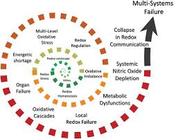 13+subscribe to the channel and confirm your subscription, tell your friends and. Covid 19 A Redox Disease What A Stress Pandemic Can Teach Us About Resilience And What We May Learn From The Reactive Species Interactome About Its Treatment Antioxidants Redox Signaling