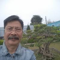 300+ "Lee Bee" profiles