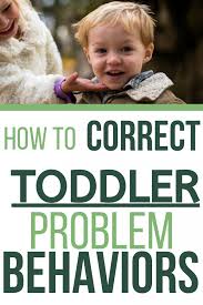 Child Training And Toddler Discipline How To Change Behavior In 2020 Toddler Discipline Teaching Toddlers Discipline Kids