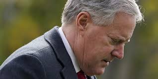 Immunity 101: Mark Meadows Edition