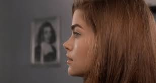 Vem är snyggare, Denise Richards eller Brooke Shields? :  r/VindictaRateCelebs