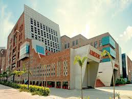 Find admission contact, job vacancies, courses, programs lovely professional university. List Of Distance Education Courses At Lovely Professional University Chandigarhx
