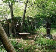 Bimbo scomparso nel mugello, le ricerche con elicotteri e cani molecolari. Z1rxgmiifqckym