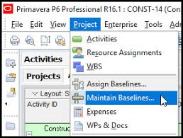 How To Display Four Baselines On The Gantt Chart In Primavera P6