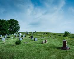 Albert Griffin (@algriffinphotography) • Instagram photos and videos