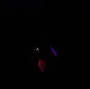 Profile Picture of Cesar Alanis - YouTube (@youtube.com) on Google