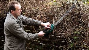 Man sagt, man schneide eine fichtenhecke am besten nach dem zweiten austrieb. Gesetz Wann Darf Ich Meine Hecke Schneiden Hecke Schneiden Hecke Beschnitten