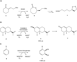 A type of allergic reaction called angioedema. 3 Examples Of Oxygenase Catalyzed Reactions A Bayer Villiger Download Scientific Diagram