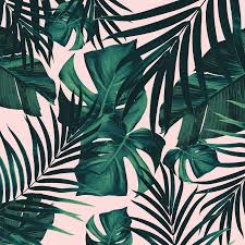 When broken, there is a 1/200 chance that an apple will be dropped. Buy Tropical Jungle Leaves 5 Wallpaper Free Us Shipping At Happywall Com