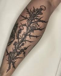 Check spelling or type a new query. 101 Amazing Thistle Tattoo Ideas You Need To See Outsons Men S Fashion Tips And Style Guide For 2020