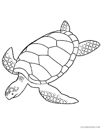 Sea Turtle Coloring Pages Printable Coloring4free Coloring4free Com