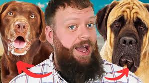 Will Atherton Canine Show