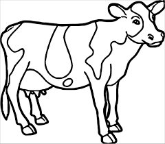 Free printable cute cow coloring pages for kids of all ages. Cattle Coloring Pages Coloringbay