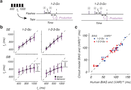 A neural circuit model for human sensorimotor timing