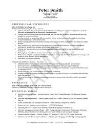 Database Administrator Resume Examples Project Manager Resume Manager Resume